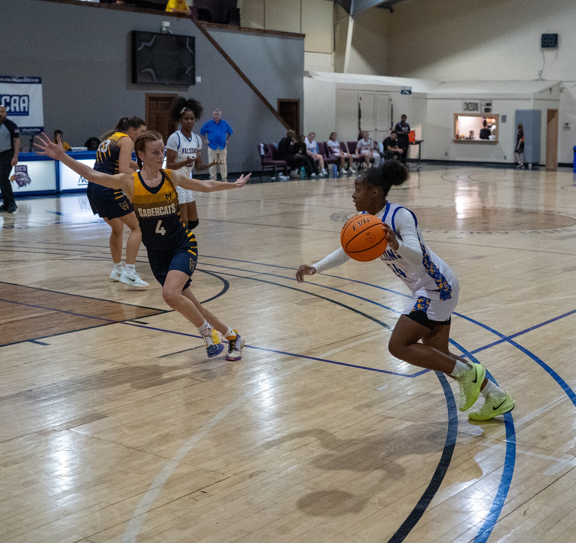 Lady Falcons Continue Home Win Streak