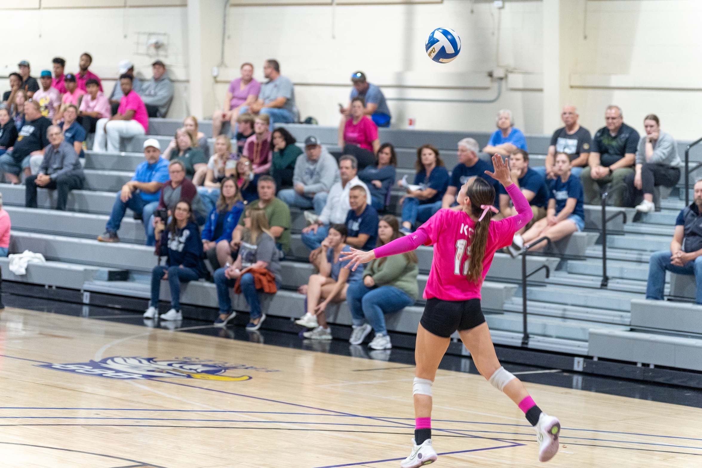Women's Volleyball Competes at York College Quad